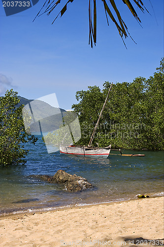 Image of  madagascar nosy be rock stone branch boat palm lagoon 