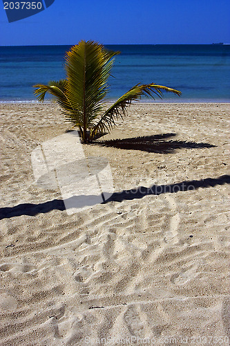 Image of nosy be madagascar beach