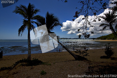 Image of nosy be boat palm lagoon and coastline