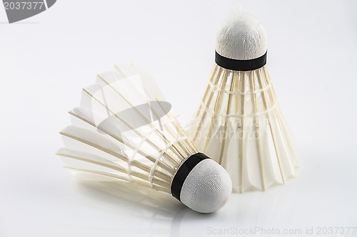 Image of Couple white shuttlecock 