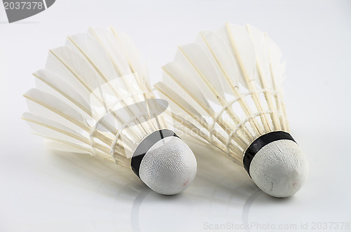 Image of Couple white shuttlecock 