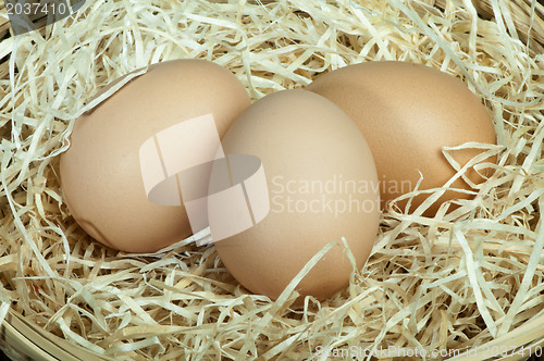 Image of Raw eggs in straw