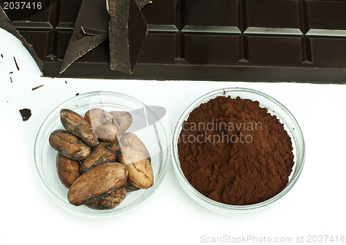 Image of Cocoa beans, cocoa powder and chocolate bar