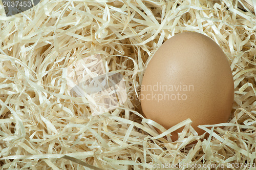 Image of Raw eggs in straw