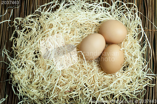 Image of Raw eggs in straw