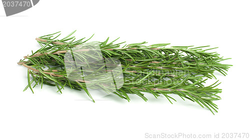 Image of Sprigs fresh rosemary