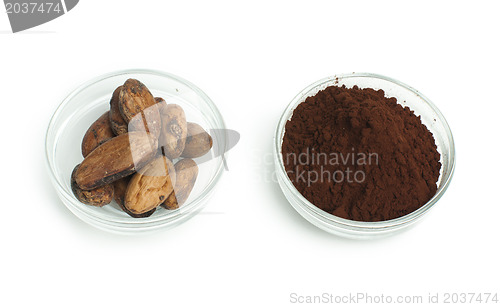 Image of Cocoa beans and cocoa powder