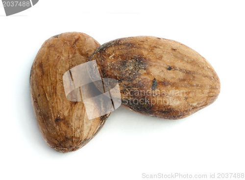 Image of Cocoa beans