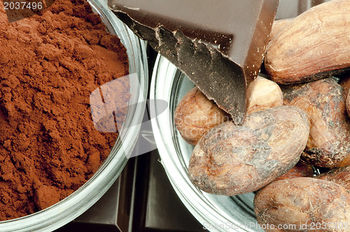 Image of Cocoa beans, cocoa powder in bowls and chocolate bar