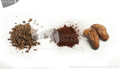 Image of Cocoa beans, cocoa powder and grated chocolate 