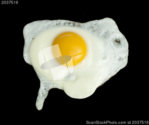 Image of Fried egg 