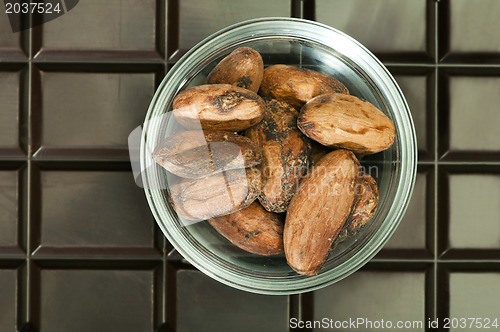 Image of Chocolate bar and cocoa beans