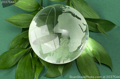 Image of Glass globe on green leaf