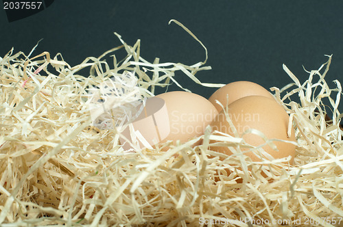 Image of Raw eggs in straw