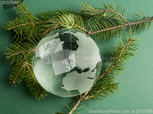 Image of Glass globe on green fir branches