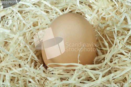 Image of Raw eggs in straw