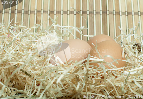 Image of Raw eggs in straw