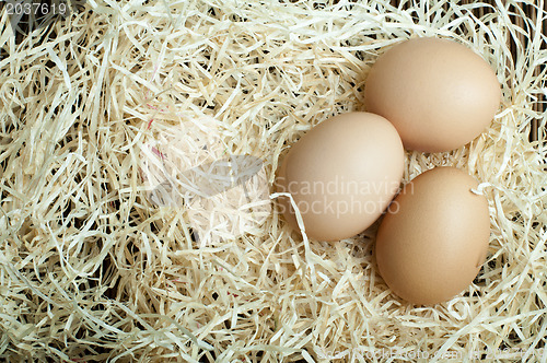 Image of Raw eggs in straw