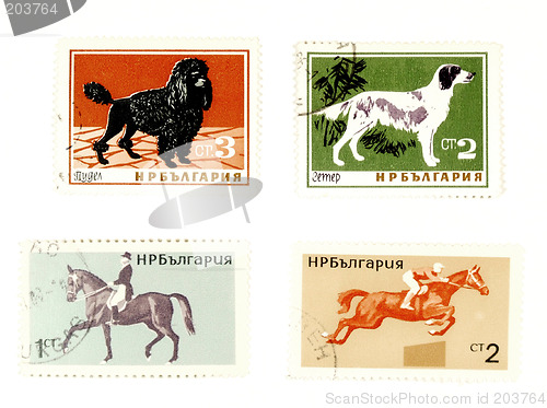 Image of Old postage stamps with dogs and horses