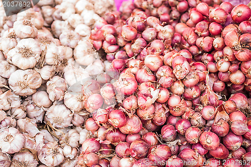 Image of Fresh garlic and shallots