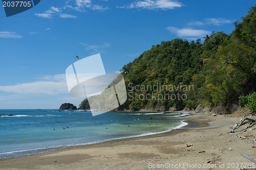 Image of Tropical beach