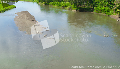 Image of Tarcoles river