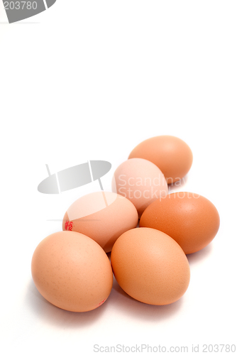 Image of Brown eggs