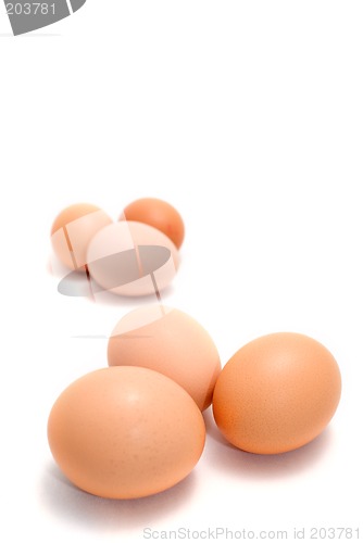 Image of Brown eggs