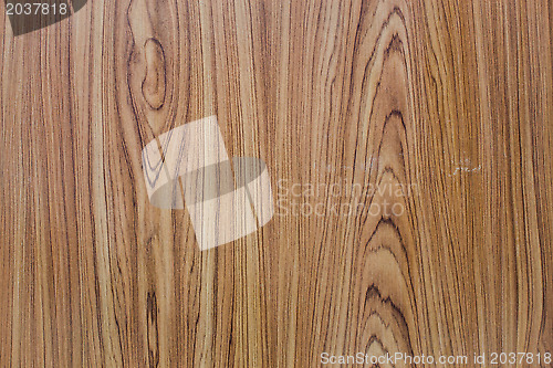 Image of Old wood texture background with tree rings