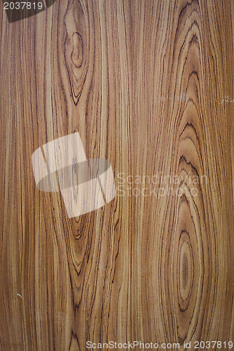 Image of Old wood texture background with tree rings