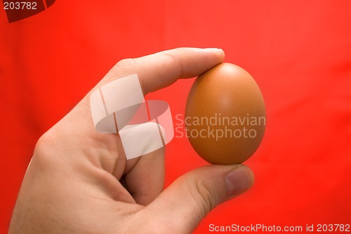 Image of Brown eggs