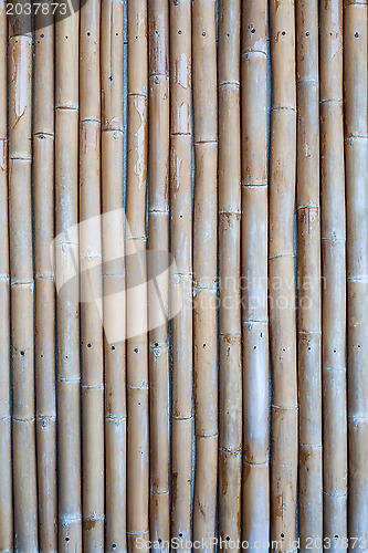 Image of Natural bamboo texture concealed cement wall