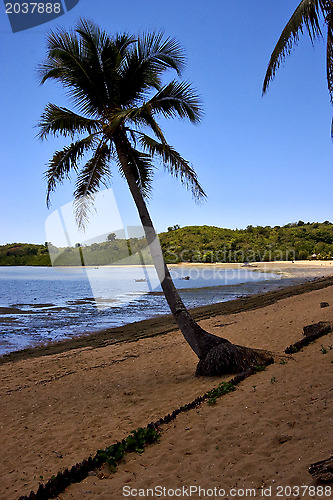 Image of nosy be boat palm and coastline
