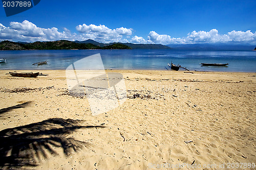 Image of  nosy be rock stone branch boat palm lagoon  madagascar