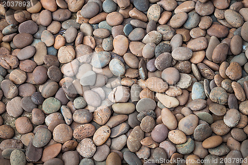 Image of Multi colored of nature rock pebble