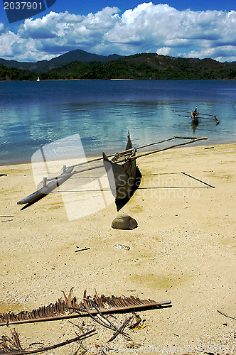 Image of  nosy be boat palm  rock stone branch  lagoon and coastline