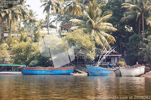 Image of Fishing boats