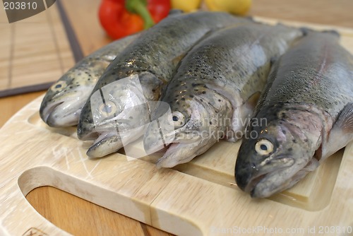 Image of Fresh fishes