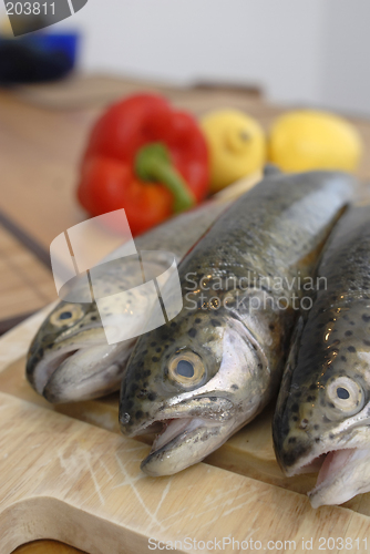 Image of Fresh fishes