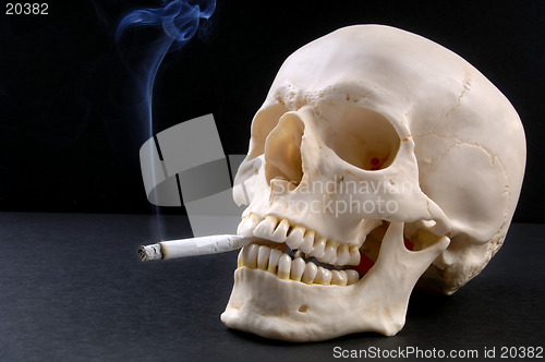 Image of Smoker-Skull
