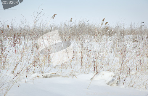 Image of Winter steppe