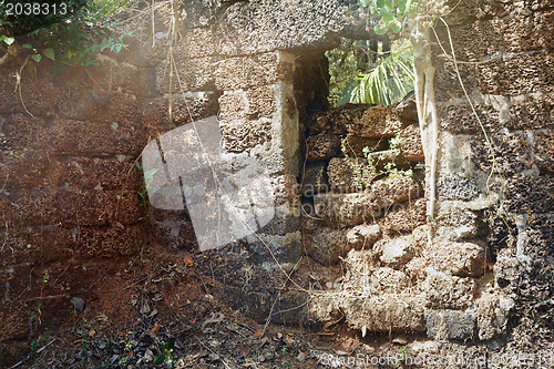 Image of Old ruins in the jungle of India