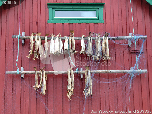 Image of Fish dried in traditional way