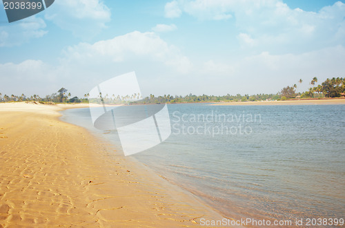 Image of Tropical beach