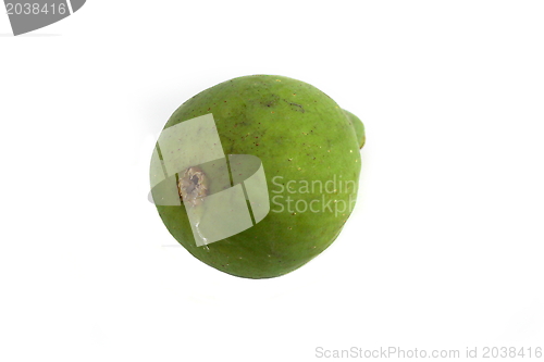 Image of Green Fig