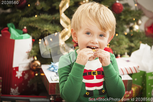 Image of Young Boy Enjoying Christmas Morning Near The Tree