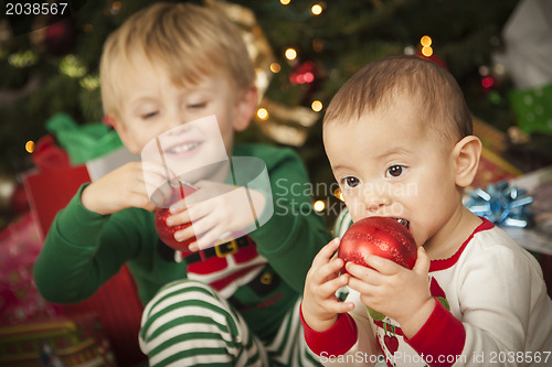 Image of Mixed Race Baby and Young Boy Enjoying Christmas Morning Near Th