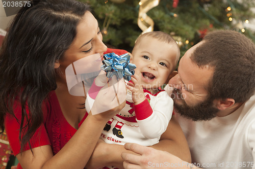 Image of Young Mixed Race Family Christmas Portrait 