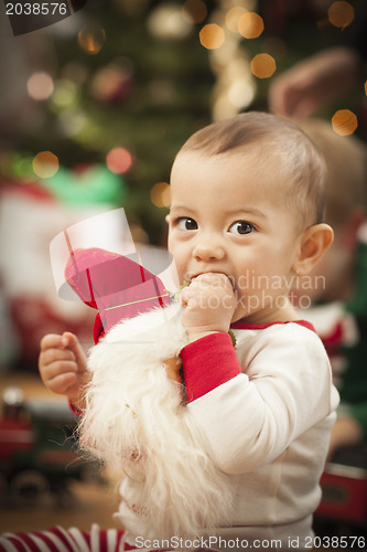 Image of Infant Mixed Race Baby Enjoying Christmas Morning Near The Tree