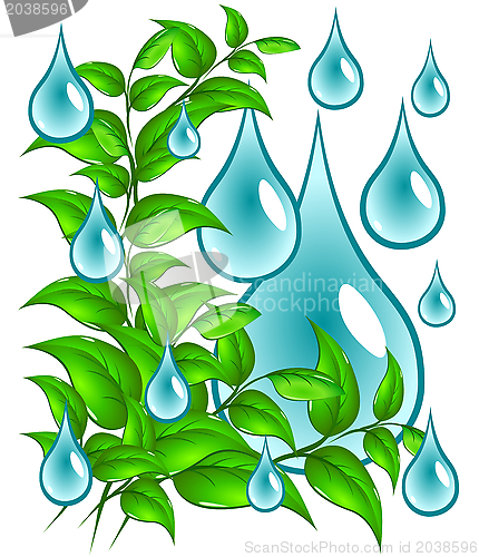 Image of Green leaves with drops of water